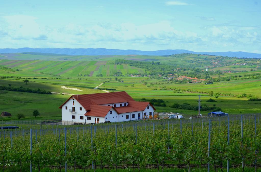 Pensiunea Kemsilvanum Fort Silvan Camar المظهر الخارجي الصورة